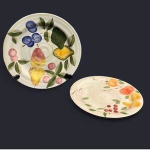 TOTALLY TODAY FRUIT (Set of 2) Dinner Plate